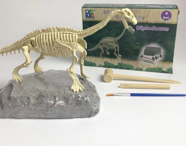 Dino Fossil Discovery Stone