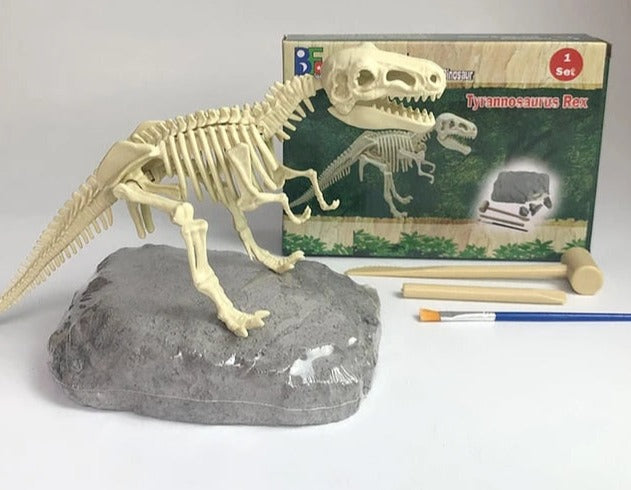 Dino Fossil Discovery Stone