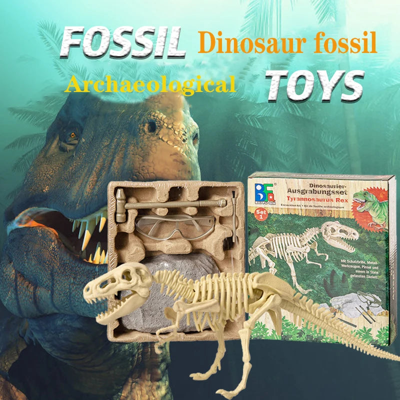 Dino Fossil Discovery Stone